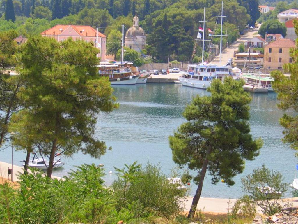 Apartment Falcon Stari Grad  Szoba fotó
